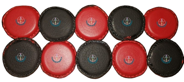 Imanes Biomagnetismo De Neodimio Forrados 25mm X 5mm Paq 10